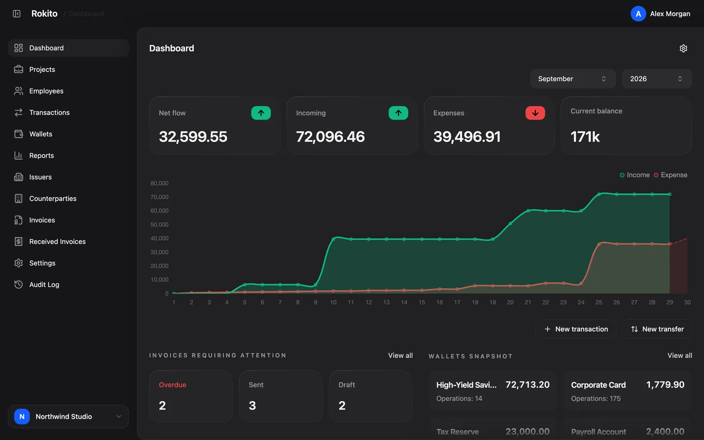 Rokito dashboard with monthly net flow, income and expense chart